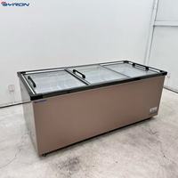 Congélateur commercial BYRON à température unique, mécanique, type îlot, avec bordure en acier inoxydable brossé noir, -20°C, paniers profonds, éclairage LED intérieur