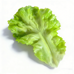Lifelike Plastic Eco-Friendly Artificial Lettuce Leaves Realistic French Butter Prop Iceberg Lettuce BBQ Restaurant Food Display - Product Image 1