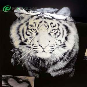 ฟิลเตอร์แก้วไดโครอิก FELIX DJ สำหรับไฟเวที ให้การส่งผ่านแสงสูงและปรับขนาดได้ - Product Image 6