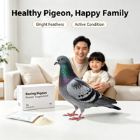 Fournitures pour coqs de combat, supplément en poudre pour pigeons de course, produits pour pigeons Victery, formule pour jeunes pigeons, probiotique OEM