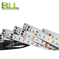 3014 120LED 6500K blanc froid IP20 led bande lumineuse pour la décoration d'escaliers de couloirs à la maison