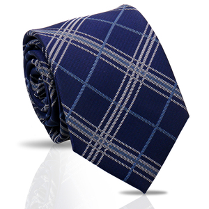 <span class=keywords><strong>Cravate</strong></span> <span class=keywords><strong>de</strong></span> <span class=keywords><strong>Luxe</strong></span> Populaire Cachemire <span class=keywords><strong>Homme</strong></span> Personnalisée en Microfibre <span class=keywords><strong>pour</strong></span> Affaires Mariage - Product Image 6