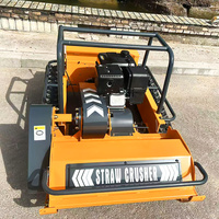 Tondeuse à bobine télécommandée avec 800/1000/1200mm Robot Chopper Débroussailleuse DIY Grade Essence/Diesel Moteur sans fil pour les propriétaires d'animaux domestiques