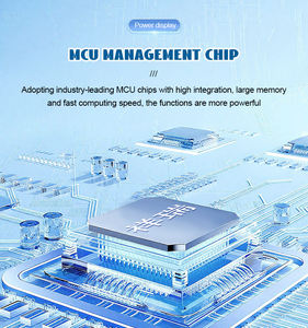 Chargeur 7 lumières pour affichage 60V 3A – Vente en gros usine, prise en charge OEM ODM pour les distributeurs de vélos et trottinettes électriques - Product Image 4