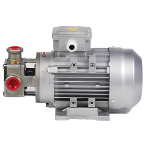 Bomba electrónica de aluminio de 12V a prueba de explosiones con motor de frecuencia variable, bombas de sumidero de baja presión para diésel/bioriñol/gasolina para coches OEM - Product Image 1