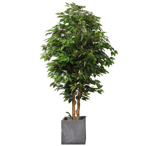 Árbol de Ficus Artificial Qihao en Maceta, Planta Decorativa de Interior de Alta Simulación, Accesorios para Bodas y Hogar - Product Image 4