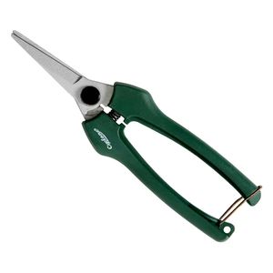 Vente en Gros Bonsaï Conifère Amy 20cm Kit pour Votre Maison Jardin - Product Image 5