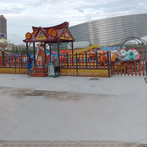 12 chỗ ngồi Đồ chơi thiết lập điện ngoài trời người lớn nhỏ roller coaster đi xe trên tàu với theo dõi cho trẻ em - Product Image 6