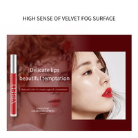 Gloss à lèvres souples et lisses, liquide étanche, vente en gros, matière velours mat et brillant à lèvres