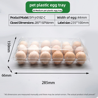 Plateau à œufs en PET de qualité alimentaire haute transparence, incassable, avec conception de fentes coniques brevetée, empilable, impression personnalisée OEM, direct usine