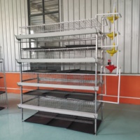 Cage pour poules pondeuses, élevage de volailles en batterie, 3/4 niveaux, capacité 128 oiseaux, acier galvanisé
