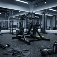 Máquina de remo multifuncional para entrenamiento de espalda, equipo de fitness para remo sentado, suministro directo de fábrica al por mayor