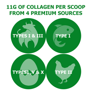 Poudre de collagène multi-sources OEM ODM avec niacine et mélange bioactif de protéines pour soutenir la santé des cheveux, de la peau, des ongles, des articulations, des os et des muscles - Product Image 4