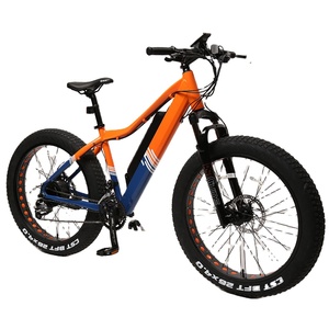 TXED 250W moteur de moyeu arrière cadre en alliage de haute qualité vélo électrique de montagne 36V batterie au Lithium dérailleur Tube puissant - Product Image 1