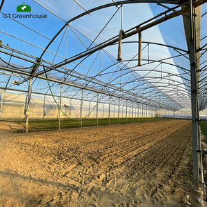<span class=keywords><strong>Invernadero</strong></span> Comercial de Bajo Costo GT, <span class=keywords><strong>Invernadero</strong></span> de Polietileno para Fresas y Arándanos - Product Image 2
