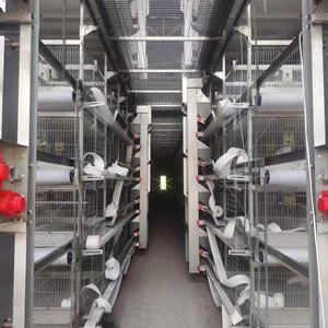 Fournisseur chinois de cages automatiques de type H pour 3000 oiseaux, équipement d'élevage avicole, système de batterie pour poules pondeuses - Product Image 6