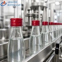 Bouchon de bouteille en aluminium de 20 ml, bouchon à vis, emballage en sachet, vente en gros pour bouteilles