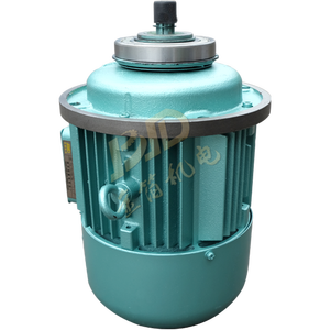 <span class=keywords><strong>Zd</strong></span> Conische <span class=keywords><strong>Rotor</strong></span> Driefasige Asynchrone <span class=keywords><strong>Motor</strong></span> Hefmotor - Product Image 6