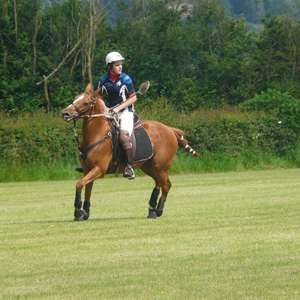 Bottines Polo argentées pour hommes, européennes et argentées, cuir européen de qualité supérieure - Product Image 5