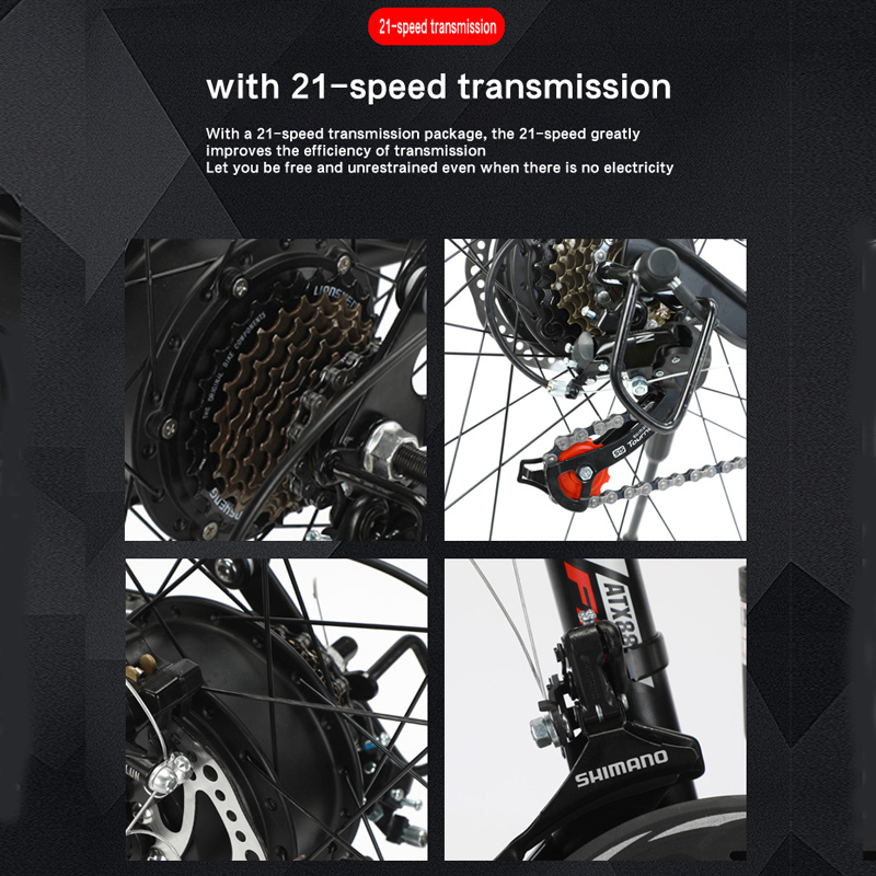 電動自転車 FRIKE 29インチ