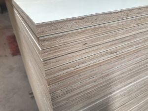 Contrachapado Laminado HPL de Alta Presión Moderno, Fenólico de Alta Calidad con Revestimiento de Chapa de Abedul - Product Image 6