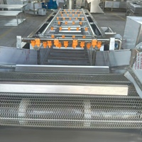 Fabrieksdirecte bubbelwasmachine, aanpasbaar, SUS304 fruit- en groentebubbelwasser voor voedselverwerkingslijnen