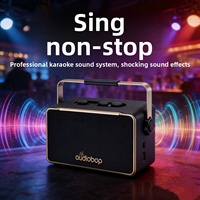 Altavoz Portátil de Cuero Retro de Lujo con Sistema PA, Salida de Audio de 3 Vías, BT 5.3, Conexión TWS, para Fiestas en Casa, Karaoke, Cumpleaños