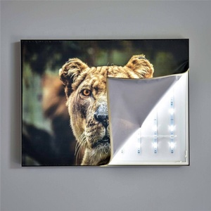 Polydex 180gsm thuốc nhuộm thăng hoa vải trắng cho Backlit biểu ngữ - Product Image 4