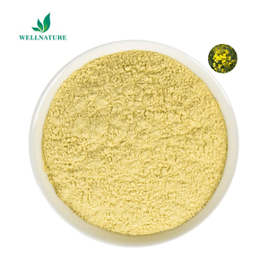 Polvere di Fiore di Colza all'Ingrosso 10:1 20:1 Polvere di Brassica Campestris Polvere di Polline d'Api - Product Image 3