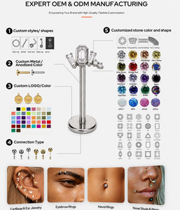 Bijoux de piercing en acier et cuivre avec zircon, clous d'oreille et piercings de cartilage en forme de cœur, vente en gros - Product Image 6