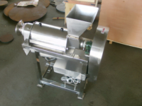 Professionele Gember Apple Juicer Fruit Sinaasappelsap Machine Sap Extractor Ananas Sap Maken Machine