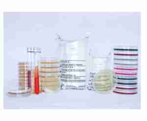 Agar pour culture bactérienne <span class=keywords><strong>Brain</strong></span> <span class=keywords><strong>Heart</strong></span> <span class=keywords><strong>Infusion</strong></span> - Product Image 1