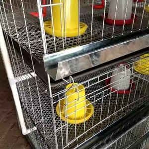 H tipo animale strato caldo galvanizzato batteria Brooder gabbia di pollo pollame allevamento del bambino pollo gabbie per le vendite - Product Image 5