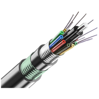 GYTA53 6 Core Single Mode Armored Fiber Optic Cable - Outdoor Heavy Duty, Telecom Grade, 100m on Reel