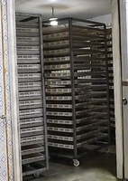 Industriële arbeidsbesparende automatische PLC-gestuurde mangodroogmachine met elektrische/gasverwarming 220/380V, lage investering, hoge winst, fruit.