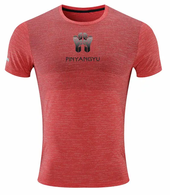 2024 Hotsale Populaire Nieuwe Design Hoge Kwaliteit Gym T-Shirt Sport Snelle Droge Sport Fitness Mannen Stijlvolle Gym T-Shirt Voor Mannen