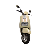 Sepeda Listrik 800W Grosir untuk Dewasa, Stylish & Tahan Lama, Tegangan 60v dengan Spion Sein, Motor Listrik