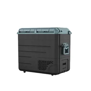 WAYCOOL WE65 58L AC100 ~ 240V otomotiv araba buzdolabı çift sıcaklık ve çift kontrol fonksiyonu ile