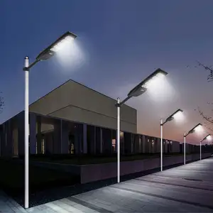 أضواء غامرة ليد برقاقة عالية الجودة قابلة للتخصيص مصباح شارع ليد شمسي متكامل الكل في واحد