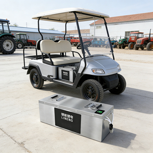 Harga pabrik 60v 80ah 100ah 150ah Sepeda listrik skuter motor listrik Sepeda listrik dapat dikustomisasi 2/3/4 roda - Product Image 6