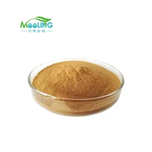 Polvo de extracto de grano de café verde de Venta caliente Extracto de grano de café verde 50% Ácido clorogénico