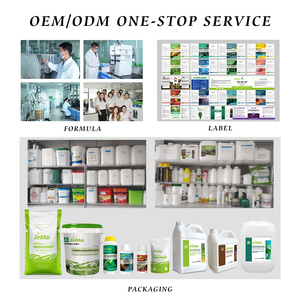 Fertilizzante Liquido Fogliare Organico con Aminoacidi e Micronutrienti Chelati (Zn, <span class=keywords><strong>B</strong></span>, Fe) per Mais <span class=keywords><strong>a</strong></span> Maturazione Precoce e Alta Resa - Product Image 4