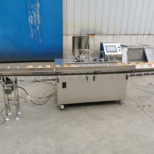 Macchina Automatica per Iniettare Ripieno in Pane, Ciambelle, Croissant, Crema di Formaggio e Puff - Product Image 4
