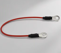 Faisceau de câblage compatible HB451748 avec borne pour imprimantes H CIJ - Pièces de rechange pour imprimantes H CIJ