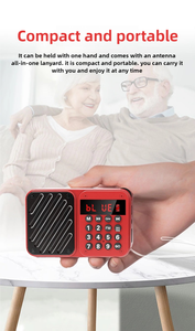 Nouveau lecteur de théâtre multifonction <span class=keywords><strong>portable</strong></span> <span class=keywords><strong>Radio</strong></span> sans fil BT pour les personnes âgées Mini <span class=keywords><strong>radio</strong></span> FM - Product Image 5