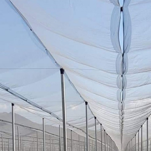 Manzanos de granja de huertos malla granizo chống mưa đá Net 100% Virgin mưa đá phòng chống Net vườn cây ăn quả - Product Image 6