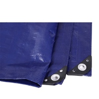 Chine Usine En Plastique PE Toile Bâche Poly Bâches À Vendre