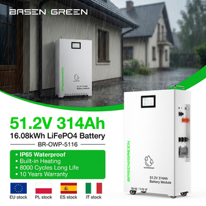BasenGreen Split Hybrid Grid 51.2V 314Ah 16kWh Outdoor Waterproof Battery IP65 Built-in Heater CAN EU Stock - Product Image 1