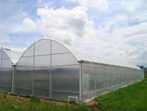 Nhà kính vòm phim duy nhất khoảng đường hầm nhà kính nhựa đổ cho rau - Product Image 5