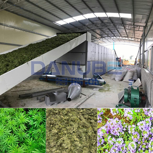 Secador de Hierbas Continuo de Bajo Consumo con Cinta de Malla para Línea de Producción de Secado de Hierbas - Product Image 6